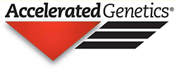 Accelerated logo