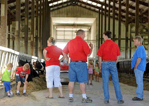Accelerated Genetics summer meltdown in a free stall barn scene
