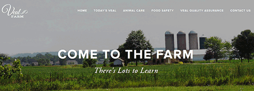 Veal Farm Website
