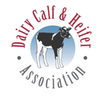 DCHA logo