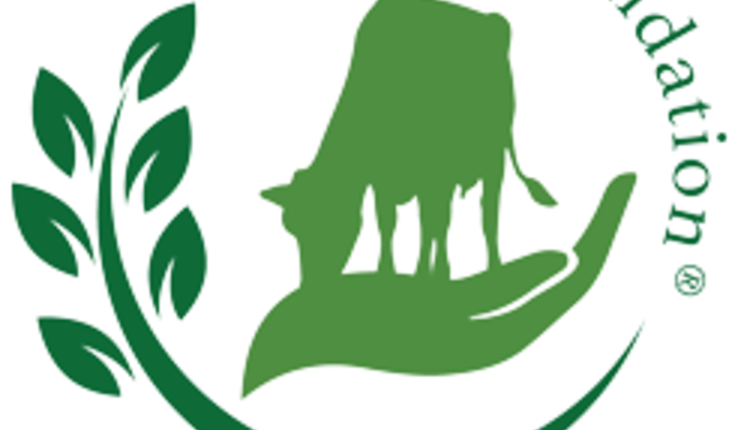 Dairy-Foundation-Logo-full-color-no-background-web