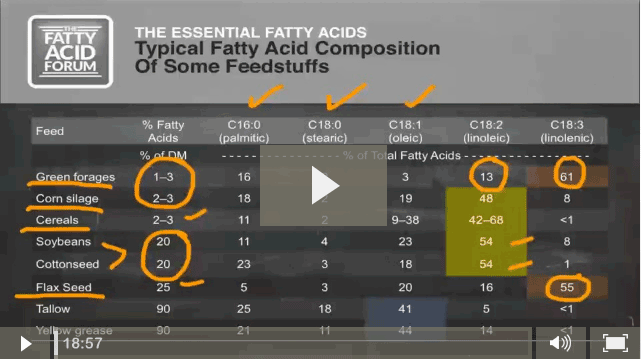  1-Essential Fatty Acids video 1