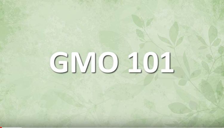 GMO-101