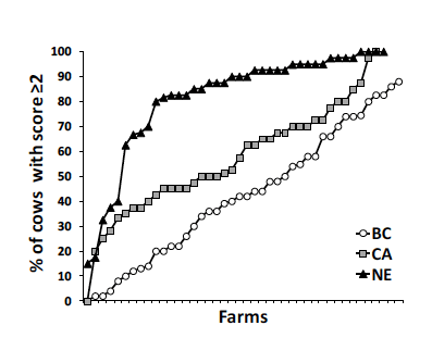 percent of cows with hock scores of >2