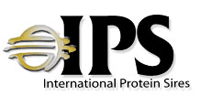 IPS - International Protein Sires