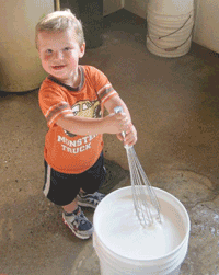 boy mixing calf milk