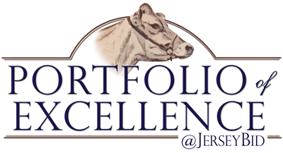 Jersey Marketing Service Portfolio of Excellence