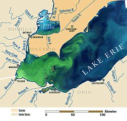 algal bloom covering the entire western basin and beginning to expand into the central basin
