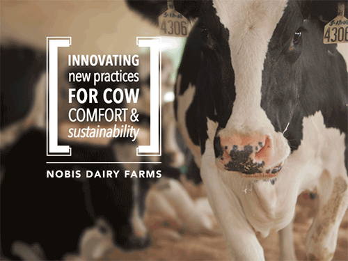 Nobis Dairy Farms announced as U.S. Dairy Sustainability Award recipients