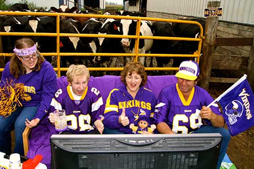 Dairy family showing pride for Minnesota Vikings