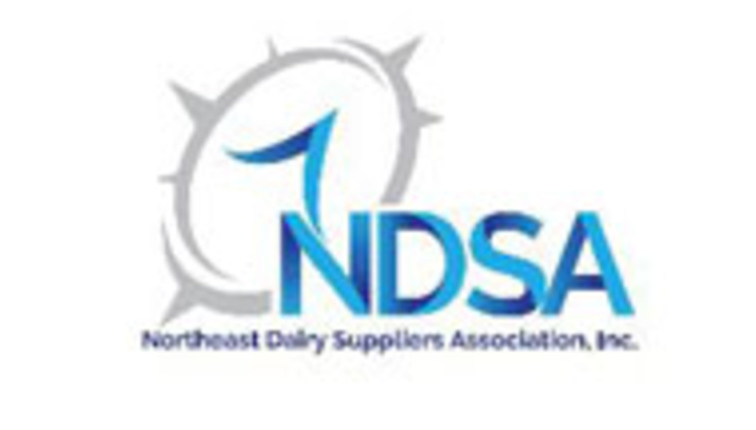 NDSA-logo