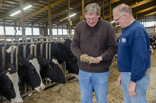 Larry Nobis, Nobis Dairy Farms co-owner