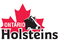 Ontario Holstein