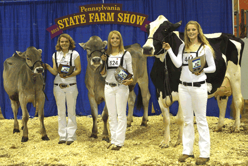 2013 Pennsylvania farm show dairy showmanship winners class 1