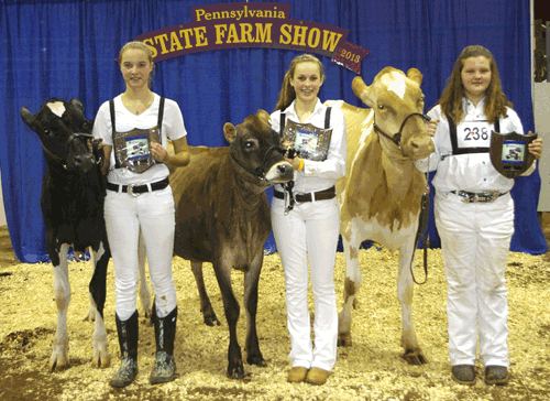 2013 Pennsylvania farm show dairy showmanship winners class 3