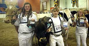 Pa Farm Show Class IV showmanship winners