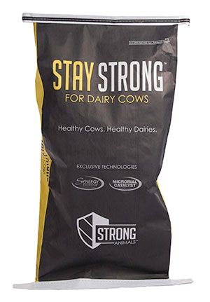 Stay Strong bag