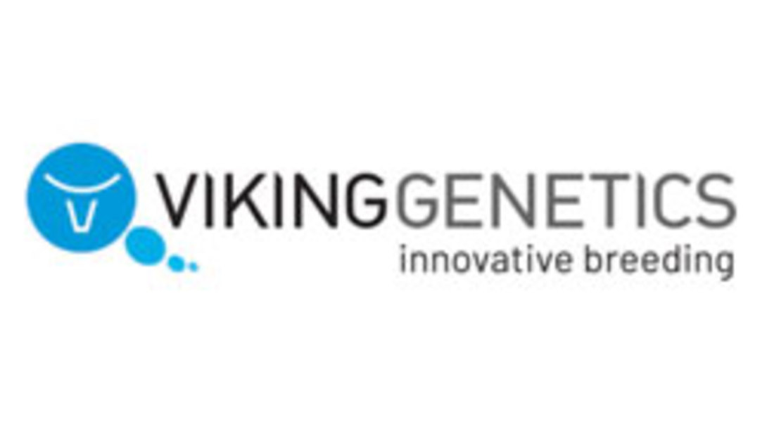 Viking_Genetics