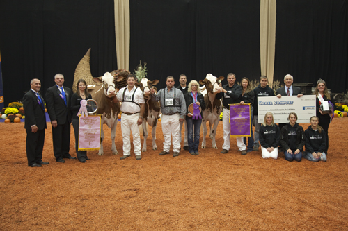 Grand Champions at International Red and White Show 2012