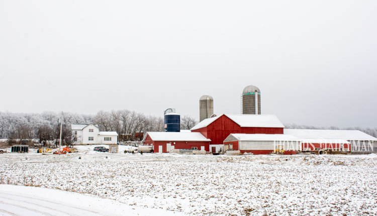 Winter-Farm-Scene_001-web