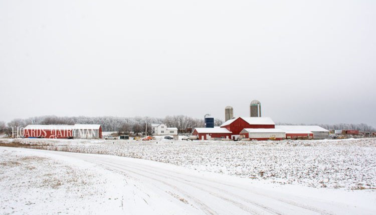 Winter-Farm-Scene_002-web