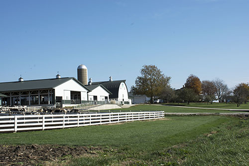 farm scene