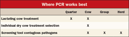 PCR table
