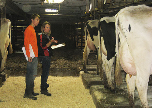 teaching dairy youth