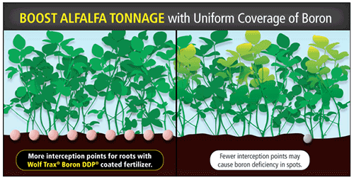 boost alfalfa tonnage