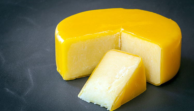 cheese-export_ph3