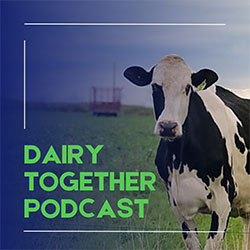 Dairy Together Podcast explores solutions to dairy crisis