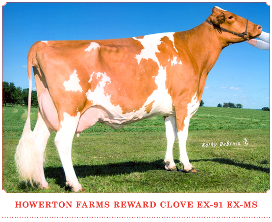 Howerton Farms Reward Clove