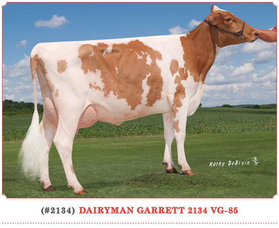 Dairyman Garrett 2134