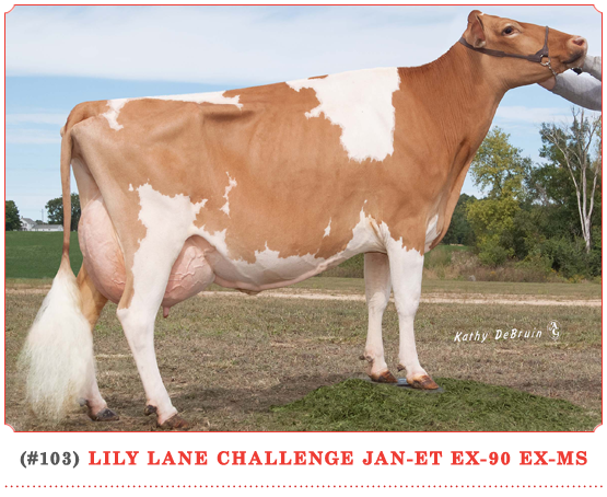 Lily Lane Challenge Jan-ET