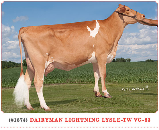 Dairyman Lightning Lysle-Tw