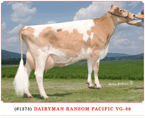 Dairyman Ransom Pacific