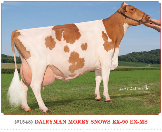 Dairyman Morey Snows