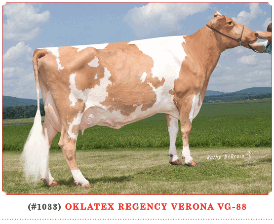 Oklatex Regency Verona