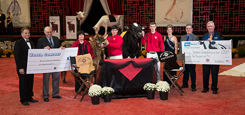 Supreme Champion of Junior Show at 2014 World Dairy Expo