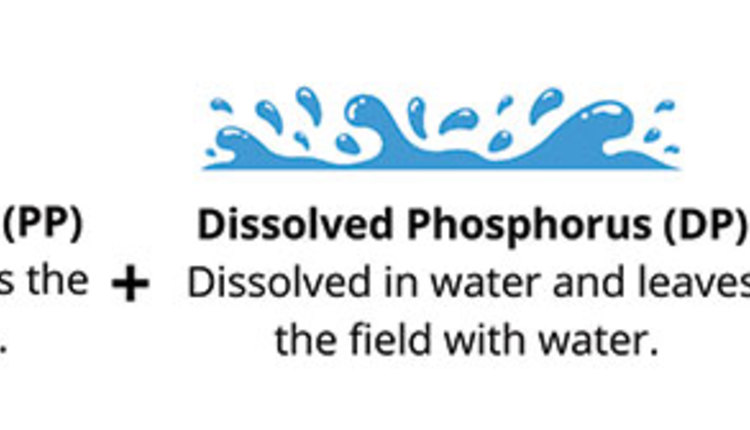 7-Phosphorus-Graphic-(1)-(1)