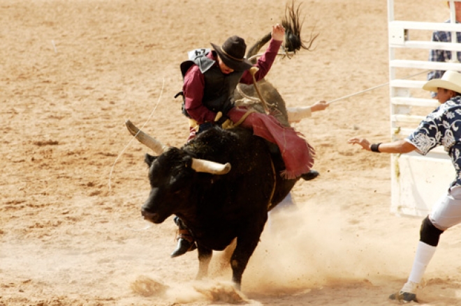 pro-bull-riding